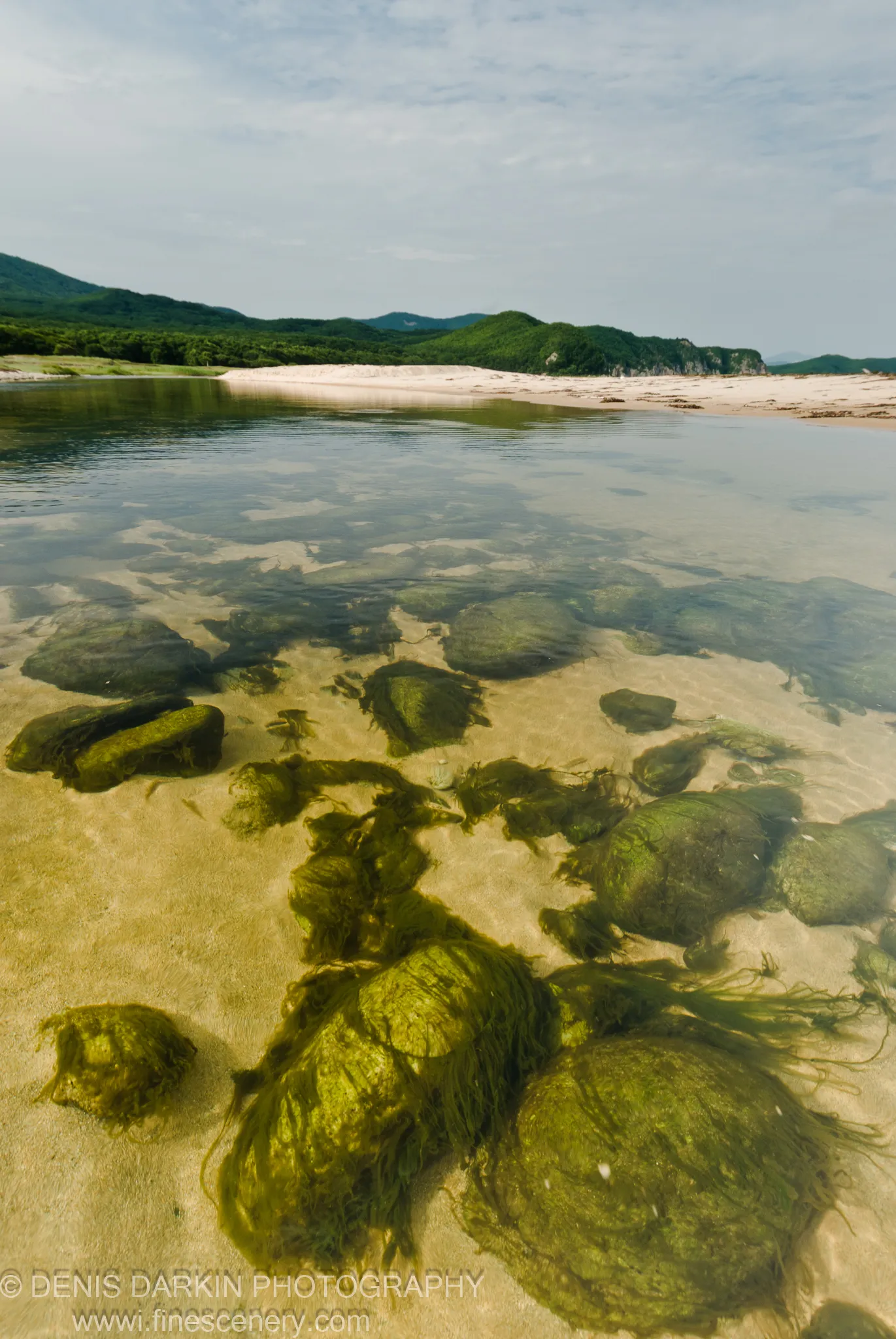 Green moss-covered boulders seen through shallow, clear water at Tachingouza Bay, with a pale sandy beach and rolling hills beyond.