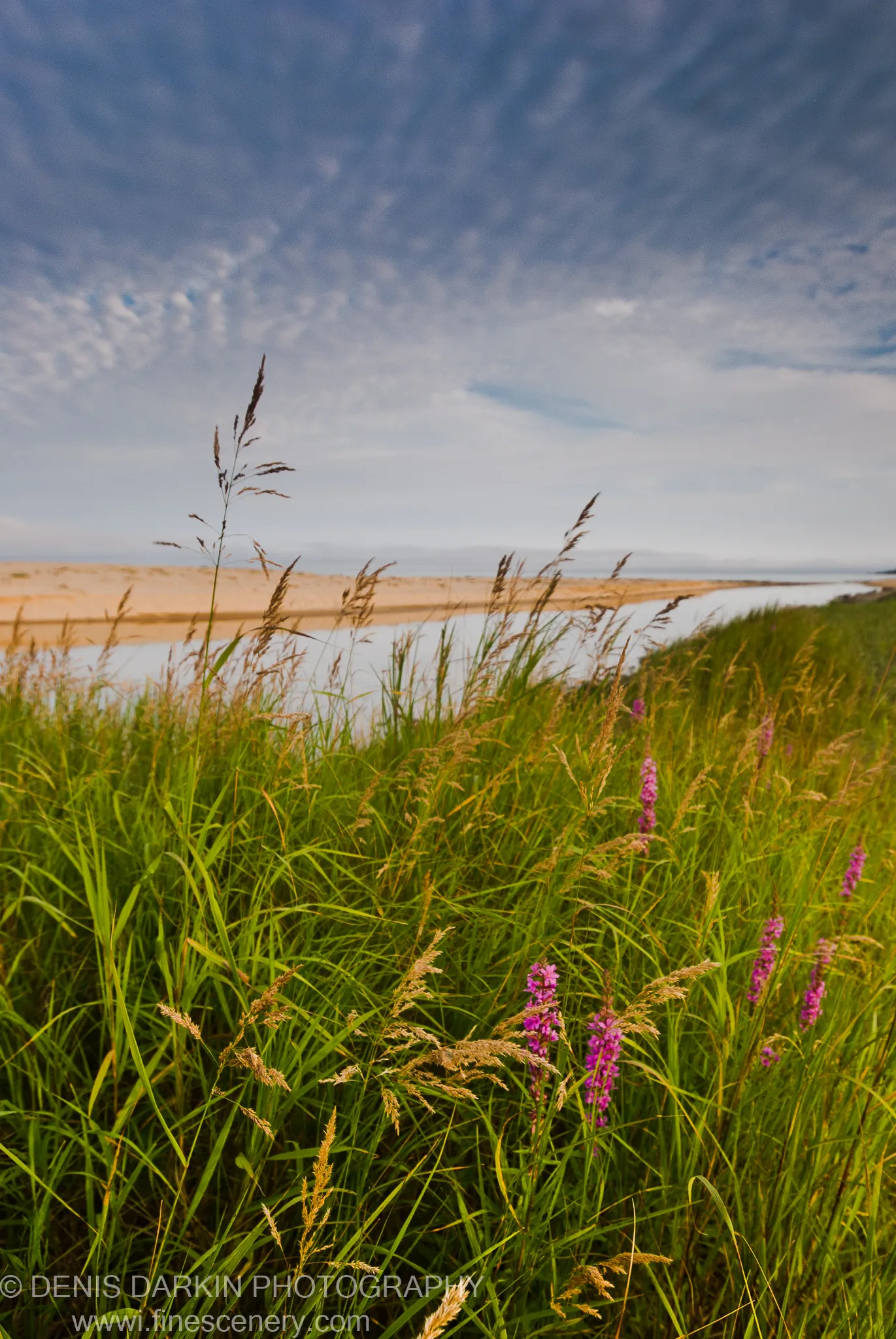 August in Lazovsky Reserve