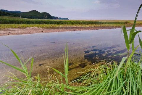 Tall green grass in the foreground at Tachingouza Bay, with rolling forested hills rising beyond a sandy bank at dusk.