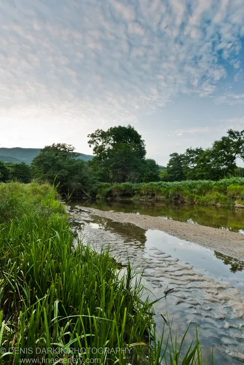 Bright green grass lines a winding river channel with a sandy bar and rolling hills reflected in the water, Lazovsky Reserve.