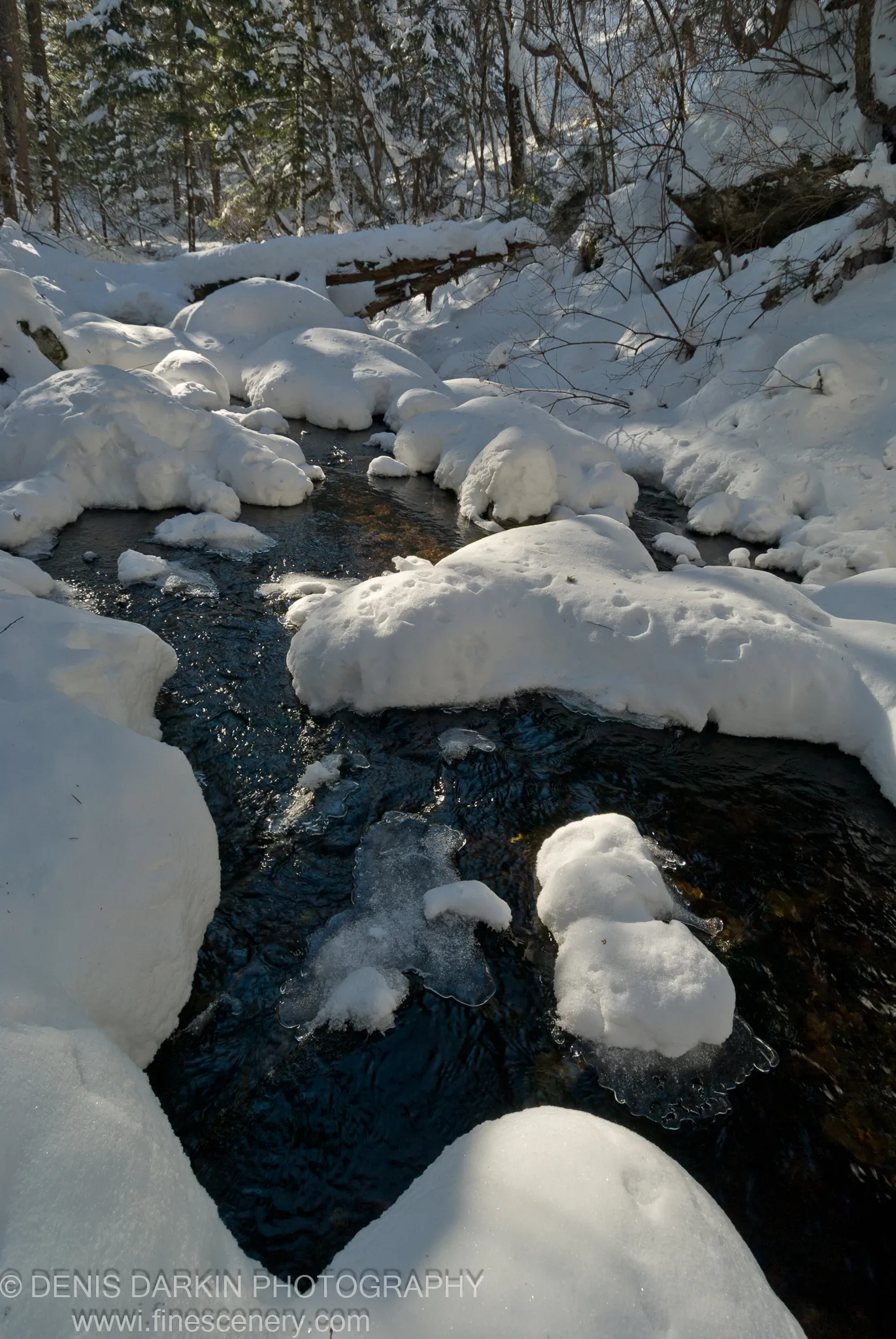 A dark forest stream winds between snow-covered boulders and forming ice sheets in the Shkotovskoe Plateau, Primorsky Krai, in January 2008.