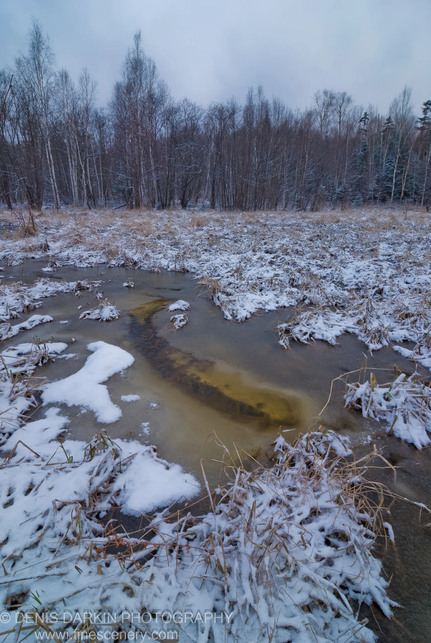 Partially frozen stream winds through a snow-dusted meadow in Vinogradovka, bare reeds coated in fresh snow under an overcast April sky.