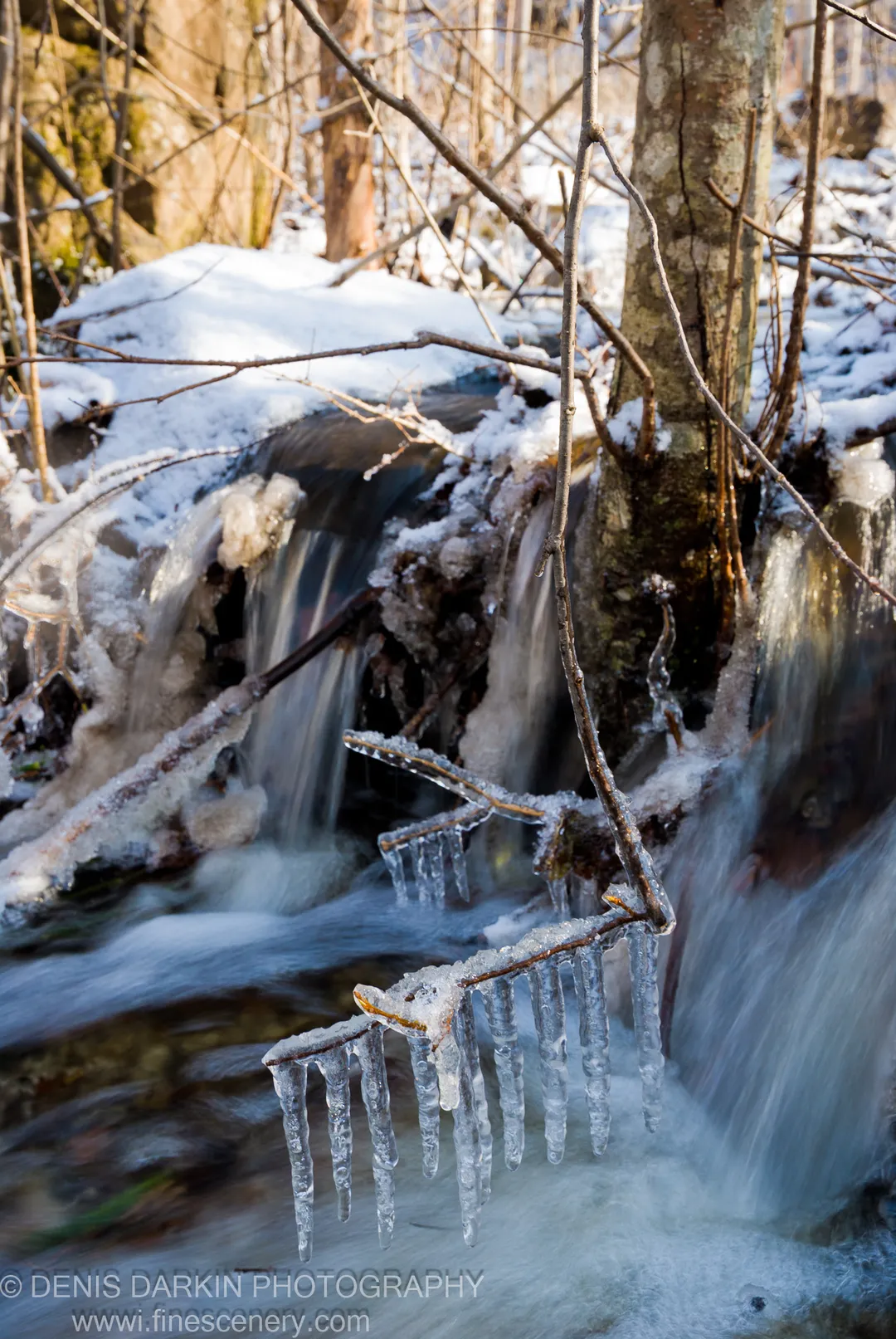 Sunlit icicles hang from a snow-packed bank above a flowing forest stream near Vinogradovka, spring sunlight catching bark and fresh snow.