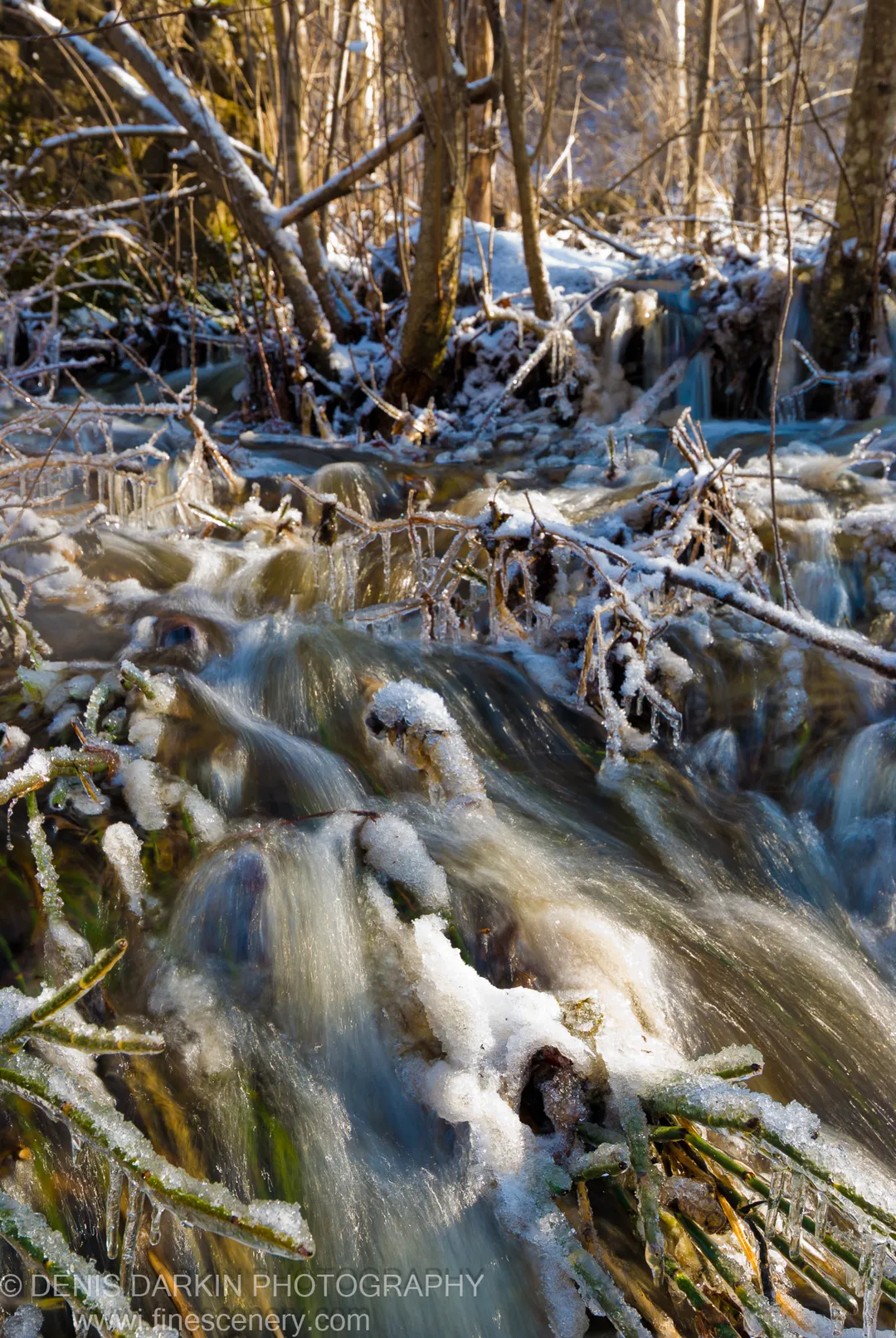 A fast-moving stream rushes over icy banks in the forest near Vinogradovka, frost still clinging to branches in the early spring morning.