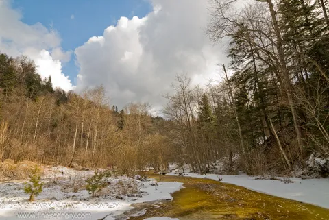 The Vinogradovka winds past snow-covered banks in April, green saplings emerging at the water's edge under a sky of large white cumulus clouds.