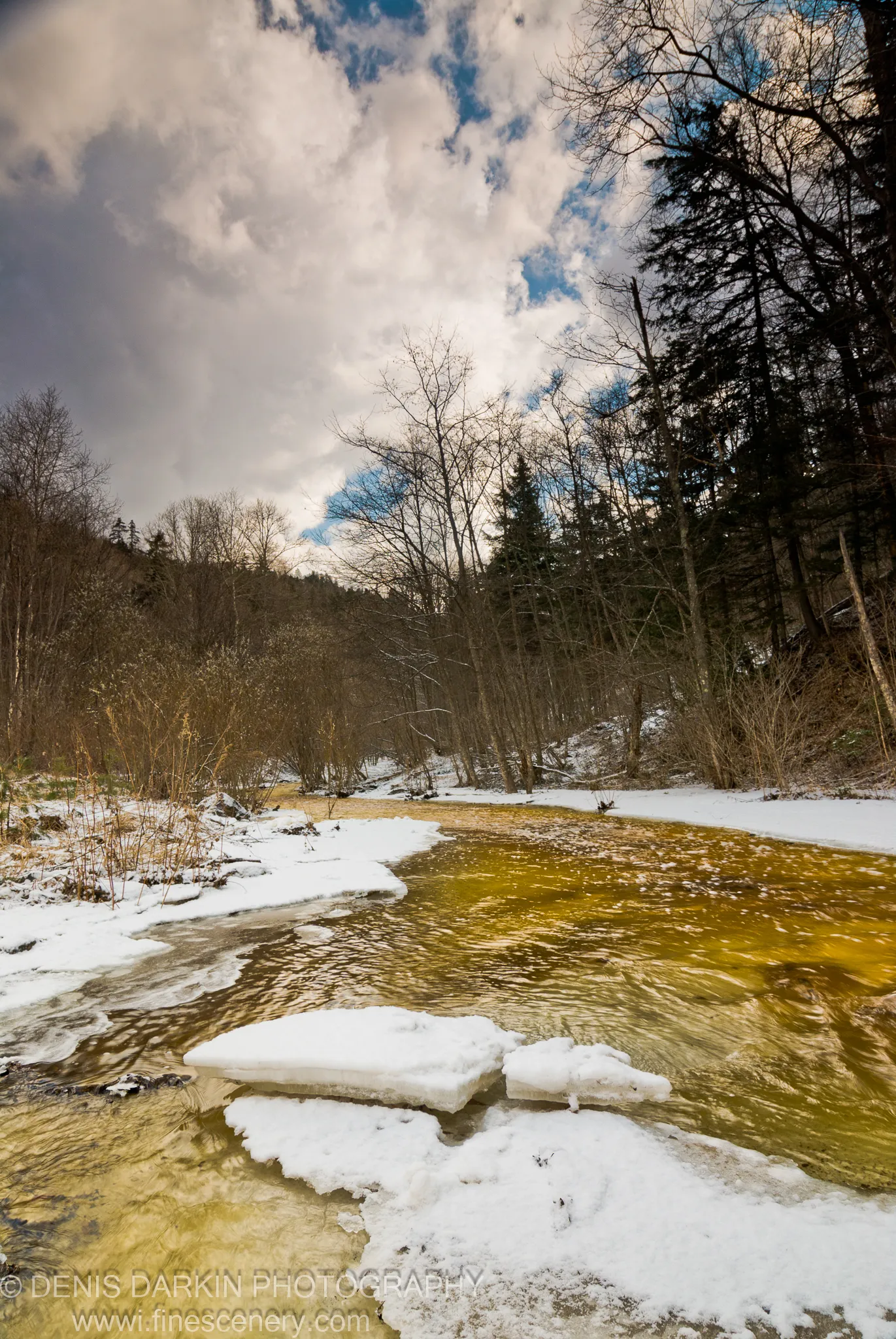Flat chunks of melting ice drift on amber-tinted river water along a Vinogradovka bend, bare trees and conifers lining snow-covered banks.