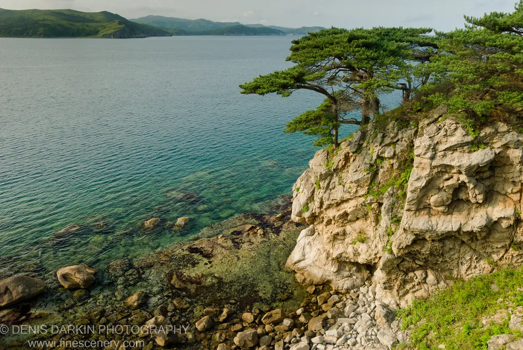 A rugged limestone cliff rises from turquoise water at Vityaz Bay, with gnarled pine trees clinging to the summit above clear shallows.