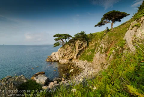 White wildflowers and ferns border a limestone cliff edge above the calm sea at Far East Marine Reserve, Russia, at golden hour.