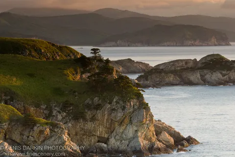 Warm dawn light picks out rough grey rock faces on steep grass-covered coastal cliffs above glassy water on Gamov Peninsula, Russia.