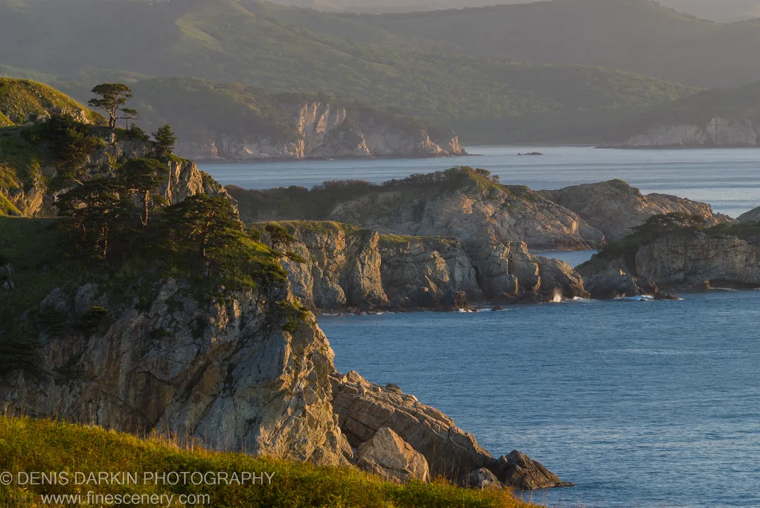 Sunlit jagged rock faces of a coastal promontory rise above calm blue water, with pine trees clinging to the edges and hazy mountains beyond, on Gamov Peninsula.