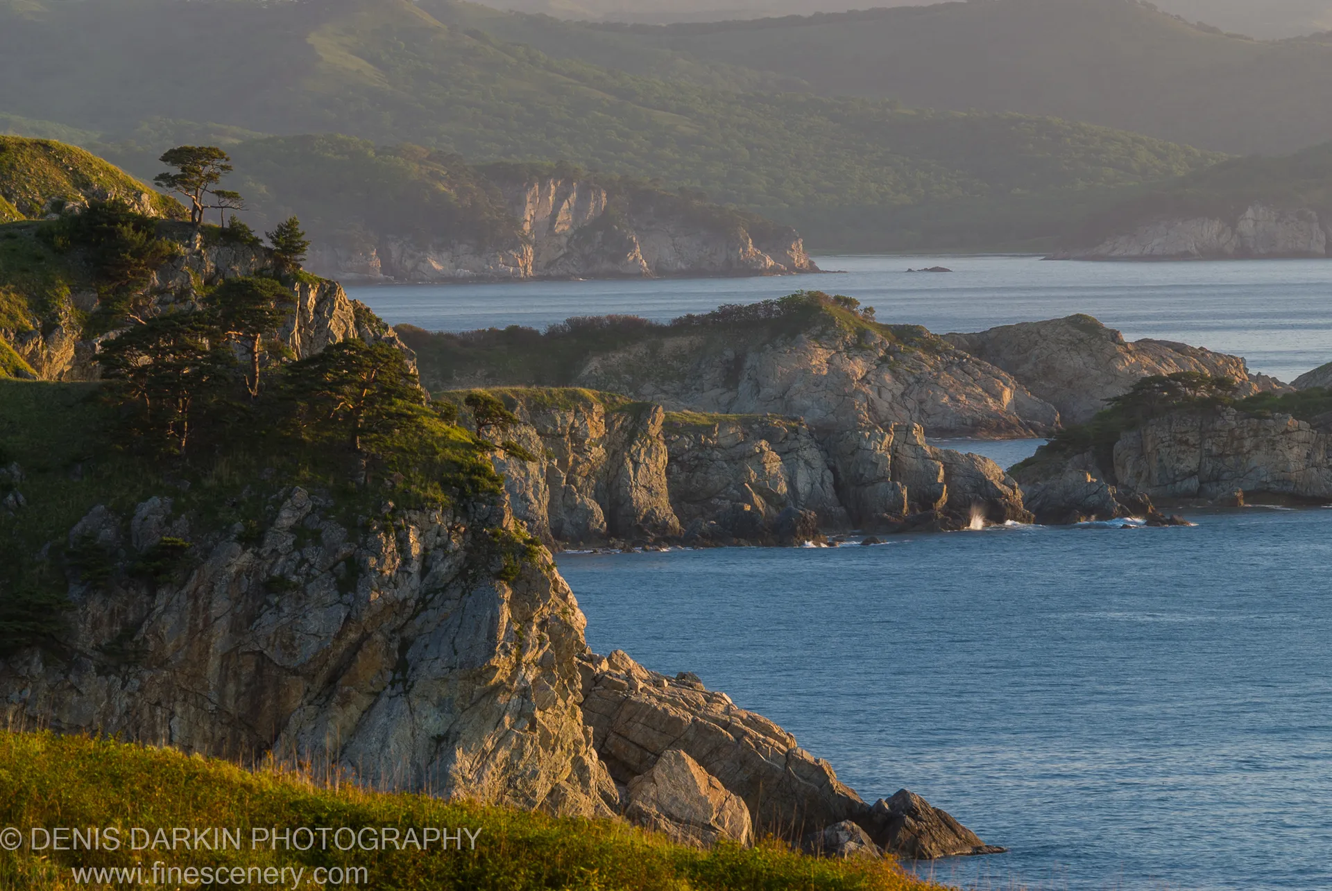 Sunlit jagged rock faces of a coastal promontory rise above calm blue water, with pine trees clinging to the edges and hazy mountains beyond, on Gamov Peninsula.