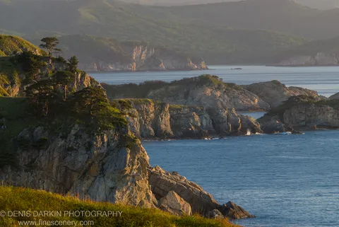 Sunlit jagged rock faces of a coastal promontory rise above calm blue water, with pine trees clinging to the edges and hazy mountains beyond, on Gamov Peninsula.