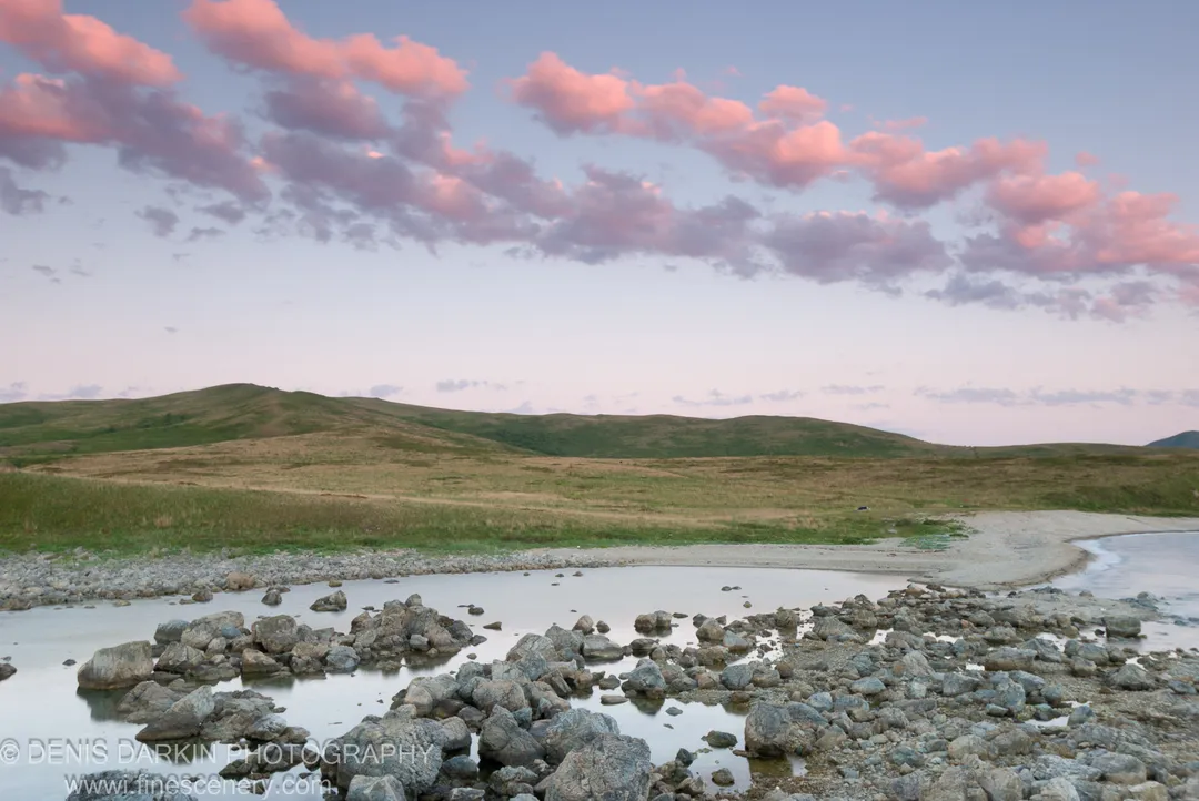 Soft pink clouds above rolling green hills at sunrise, scattered grey stones across the shallow water of a rocky shore at Gamov Peninsula.