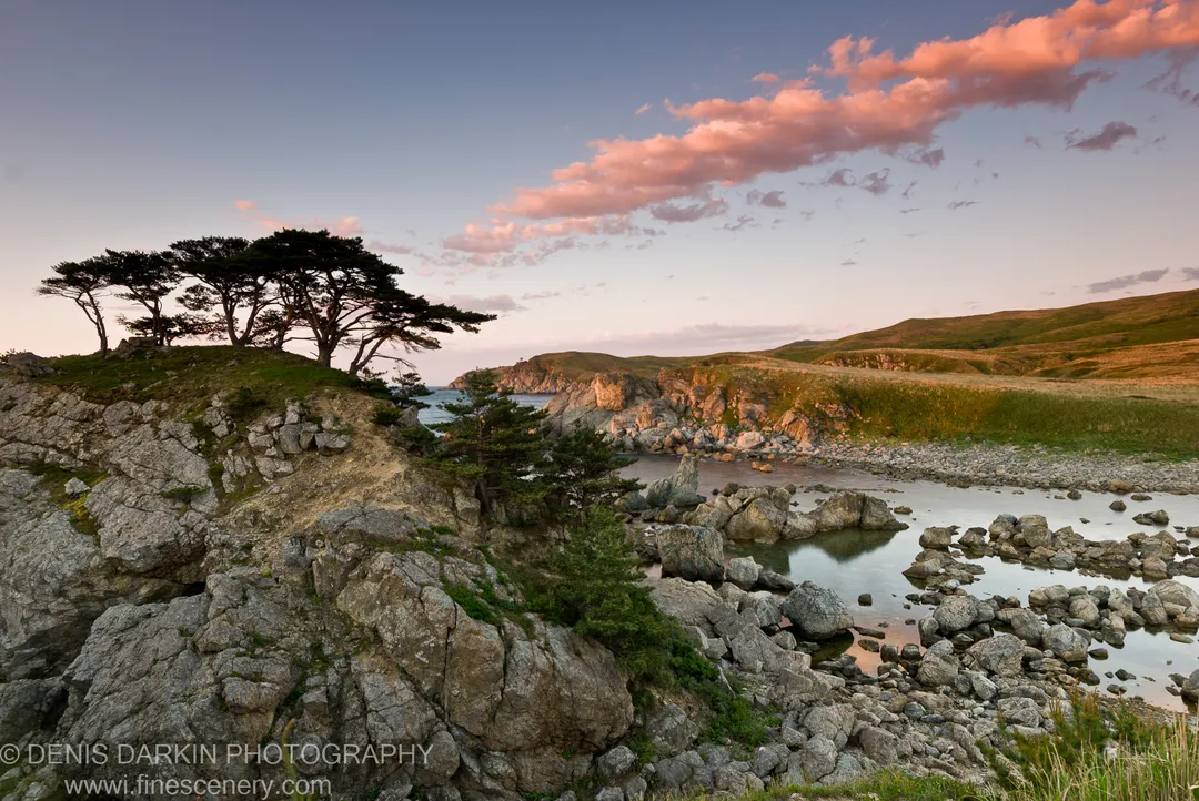 Grey boulders in the foreground overlook a calm inlet reflecting soft pink clouds, with wind-bent pines on the cliff above, Vityaz Bay.