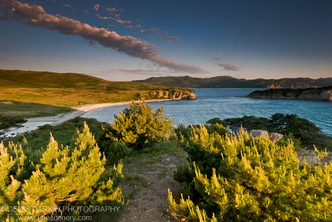 A dirt path winds through pine saplings on a hillside above a sweeping sandy beach and calm blue bay, Gamov Peninsula, Far East.
