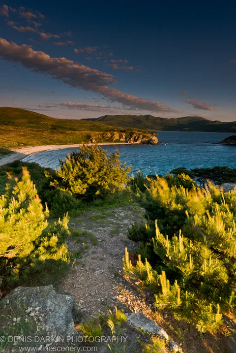 A narrow dirt path leads through pine shrubs toward a sandy cove and deep blue bay, with rolling hills along the coastline, Vityaz Bay.