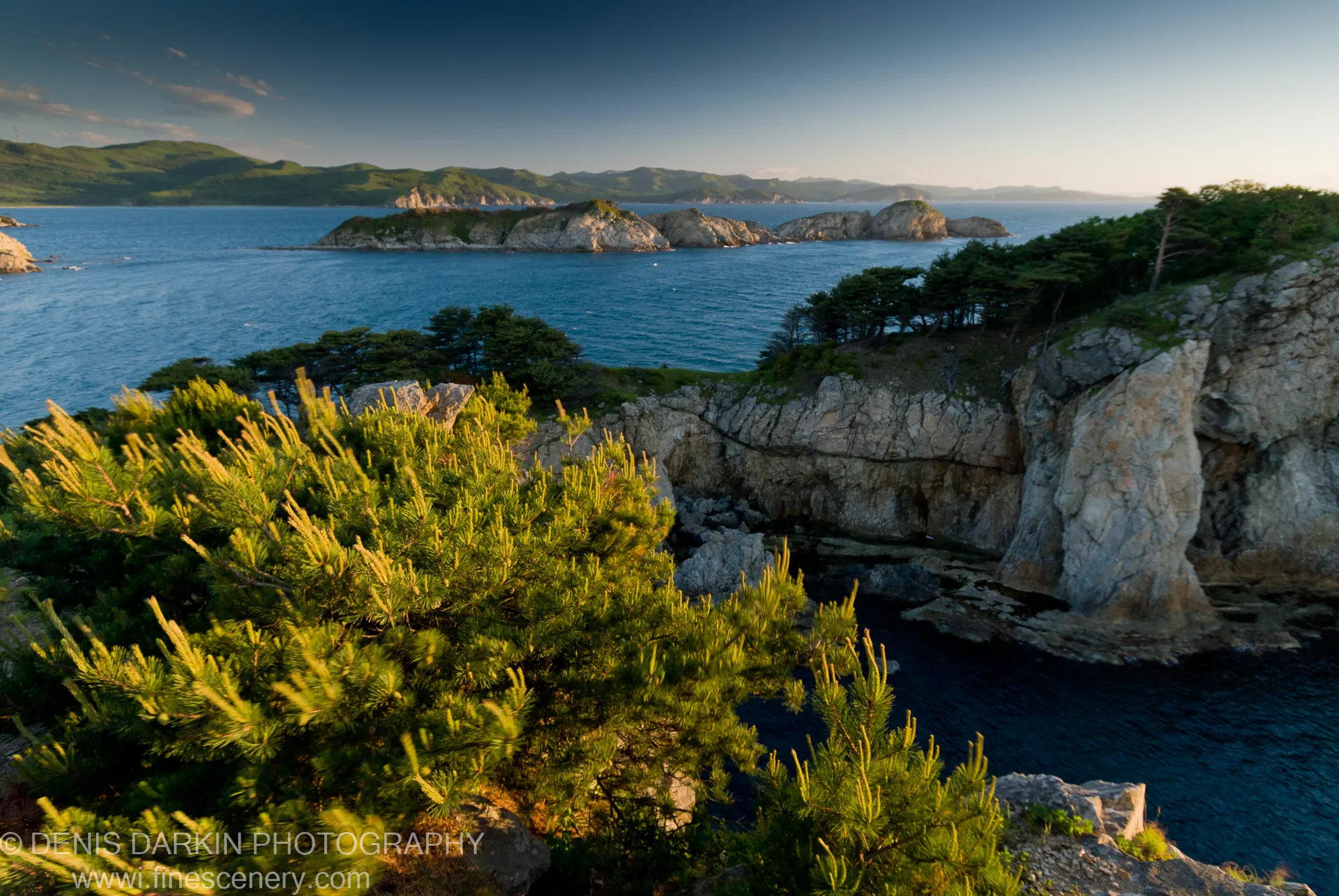 Pine needles in sharp focus in the foreground with limestone cliffs curving along the shoreline and rocky islets visible in the calm bay, Vityaz Bay.