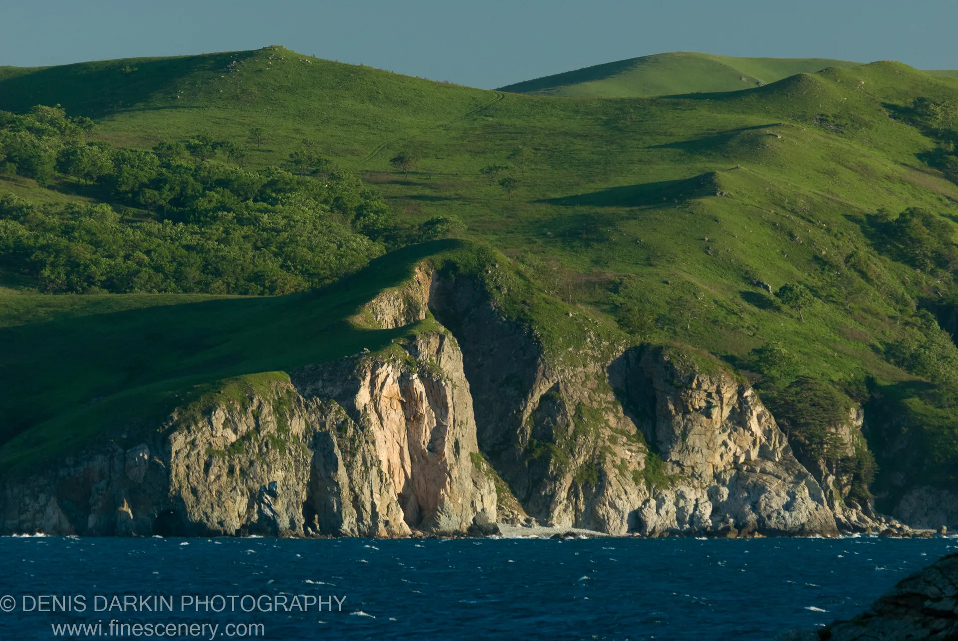 Rolling green hills descend steeply to rugged sea cliffs in low morning light, with deep blue ocean below, Gamov Peninsula, Far East Marine Reserve.