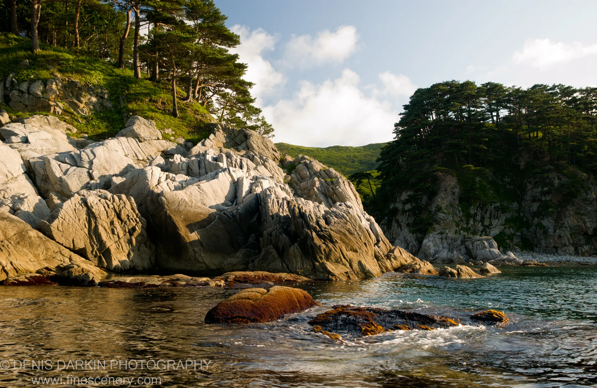 Jagged rock formations catch summer light at Telyakovskogo Bay, with pine forests on the cliffs and moss-covered stones at the water's edge.
