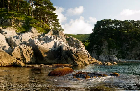 Jagged rock formations catch summer light at Telyakovskogo Bay, with pine forests on the cliffs and moss-covered stones at the water's edge.