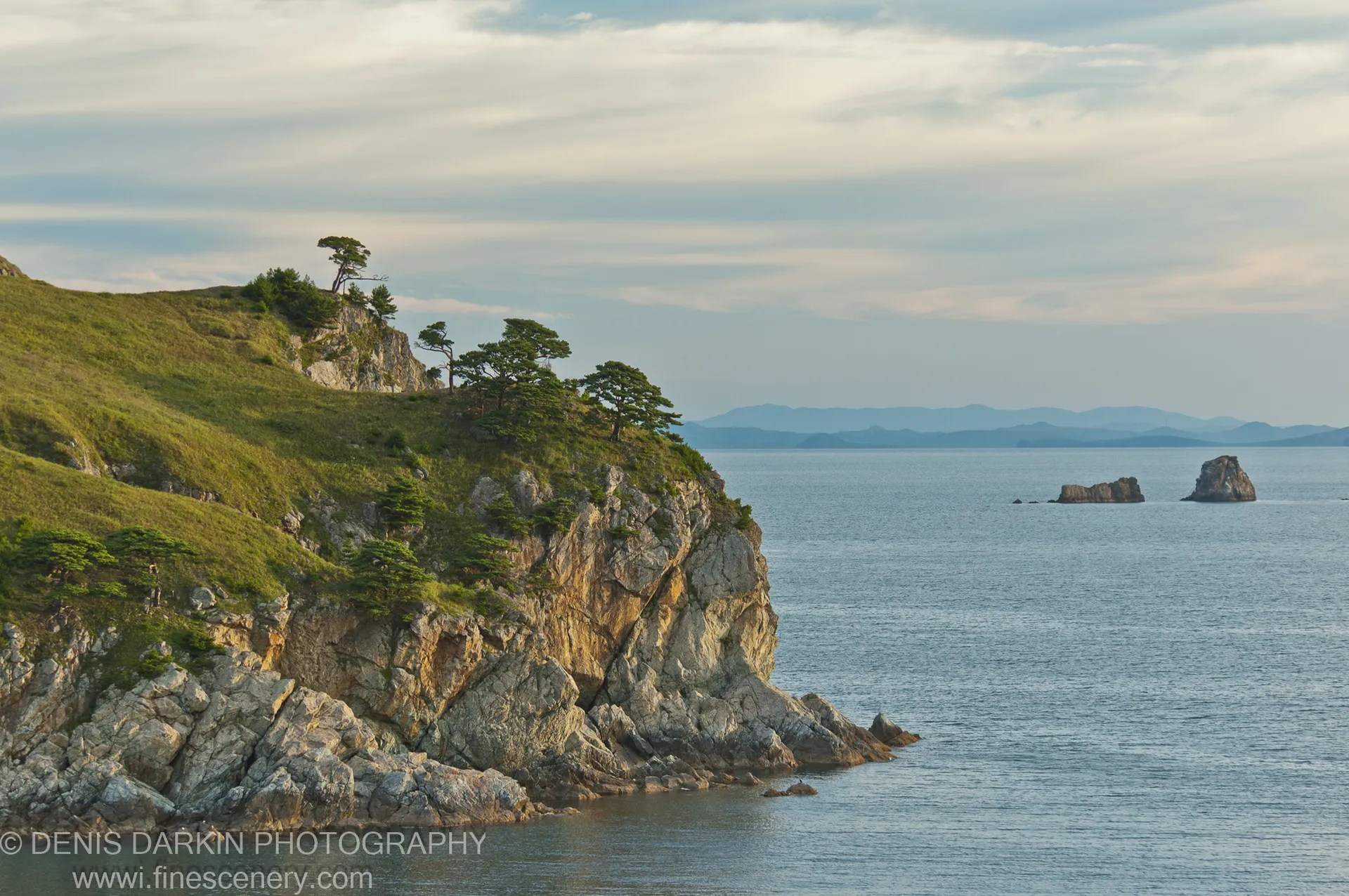 Solitary pines cling to a grassy cliff above the sea at Gamov Peninsula, with distant mountains fading into haze across the bay.