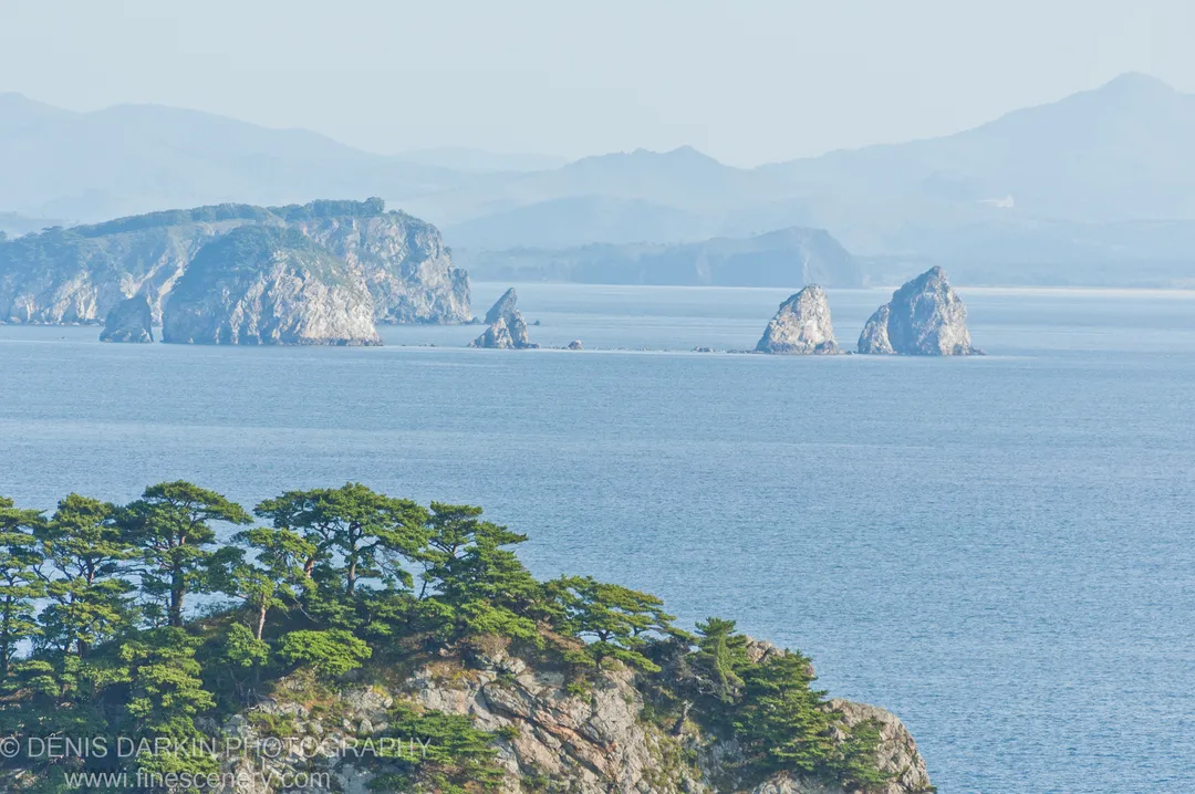 Green pines cling to a rocky outcrop at Gamov Peninsula, with sea stacks and layered mountains fading into morning haze beyond.