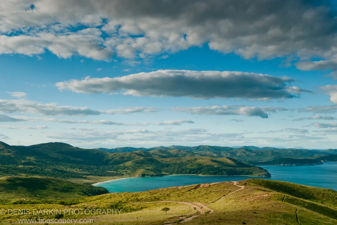 A winding dirt track and solitary tree on a grassy hilltop at Gamov Cape, with turquoise water and a sandy beach below.