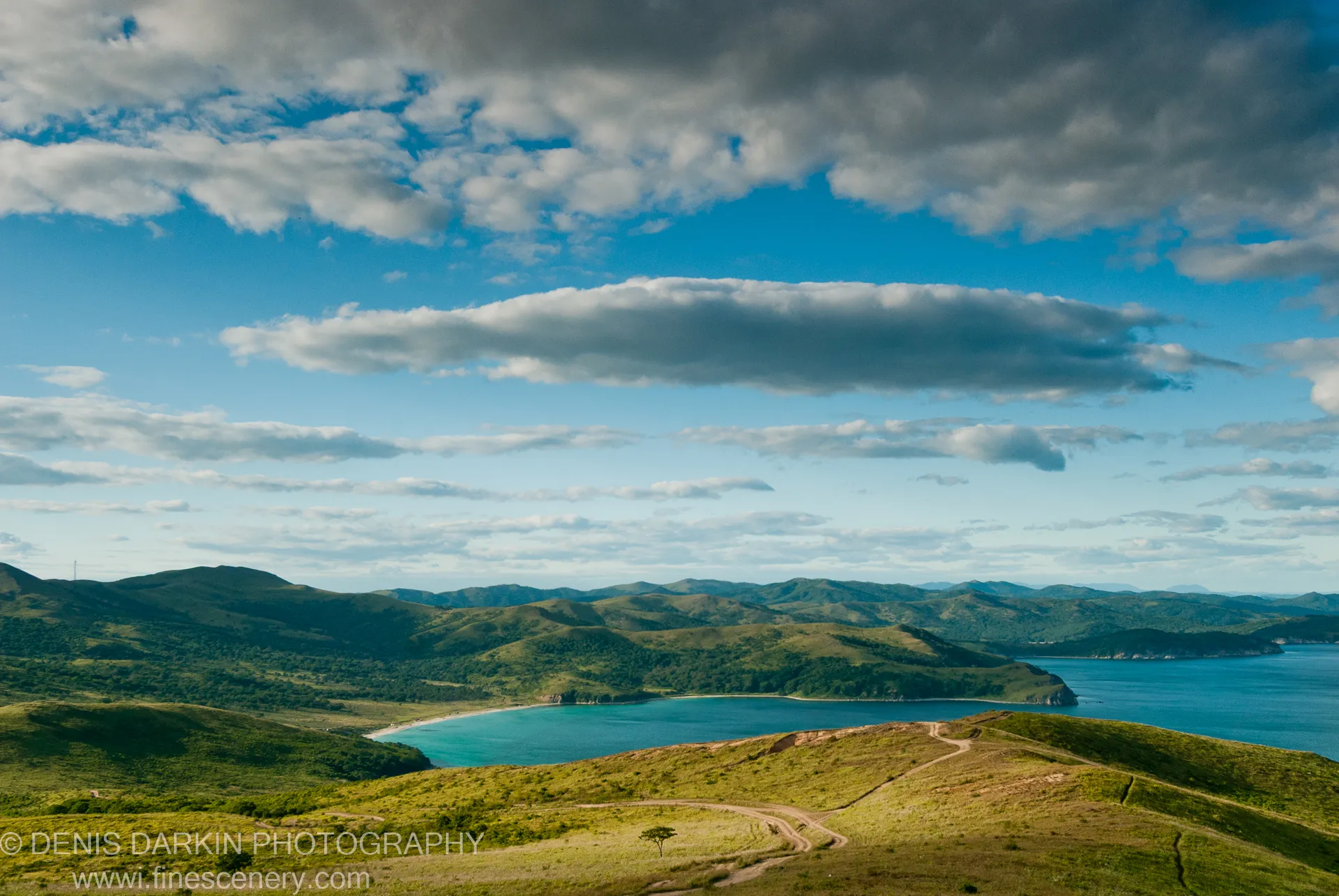 A winding dirt track and solitary tree on a grassy hilltop at Gamov Cape, with turquoise water and a sandy beach below.