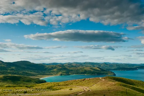 A winding dirt track and solitary tree on a grassy hilltop at Gamov Cape, with turquoise water and a sandy beach below.