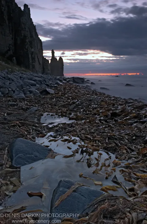 A rocky shore covered in dark wet kelp leads toward sea stacks silhouetted against a narrow strip of predawn light on the horizon.
