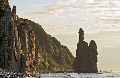 Warm dawn light on a sheer cliff face beside a sea stack in a calm bay, with soft clouds above the rocky shore.