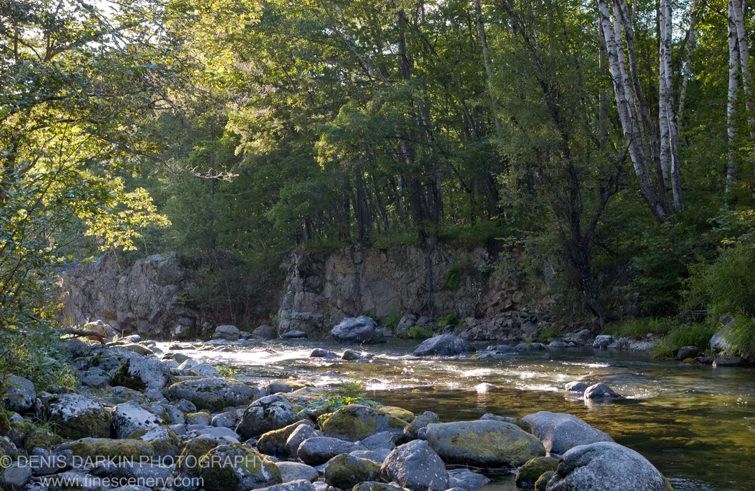 A shallow stream flows over moss-covered boulders in a birch forest near Dalnegorsk, with a rocky cliff rising behind the trees.