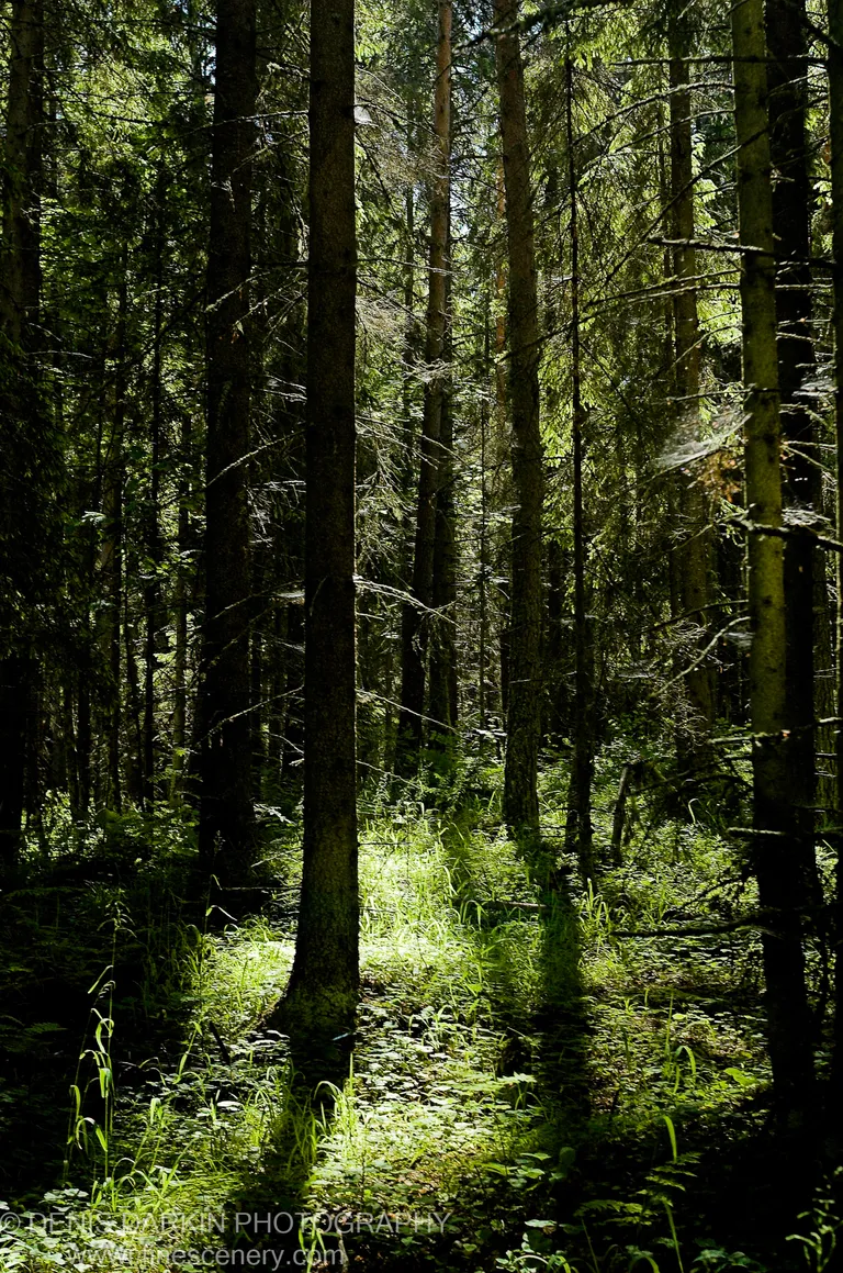Valaam