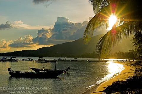 Silhouetted longtail boats on calm water with palm fronds overhead and a sunburst above the darkened hills, Thailand coast.
