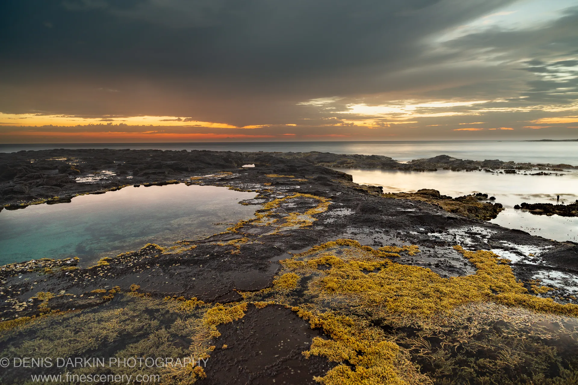Yellow-green algae on a dark rock platform, a tidal pool reflecting storm clouds and the predawn glow, New South Wales coast.