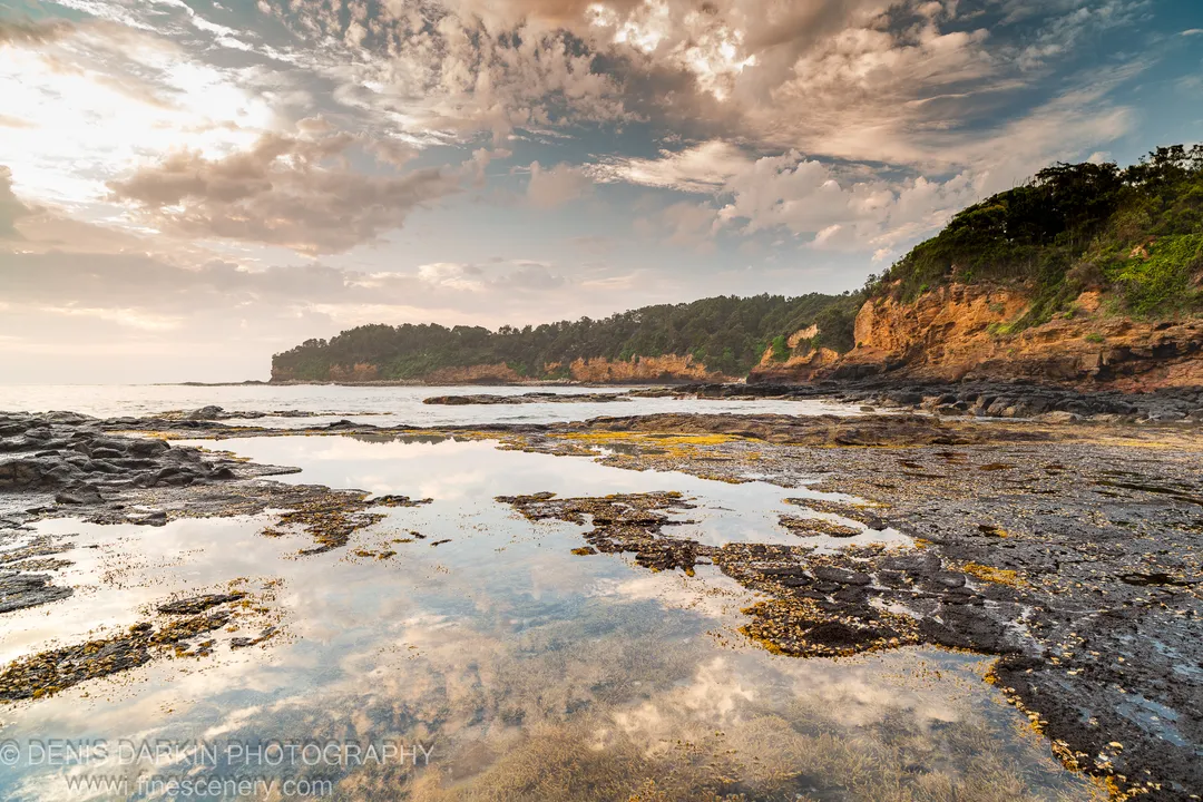 A stratified rock platform with algae-covered tide pools extends toward a forested headland rising from warm-lit cliffs on the New South Wales coast.
