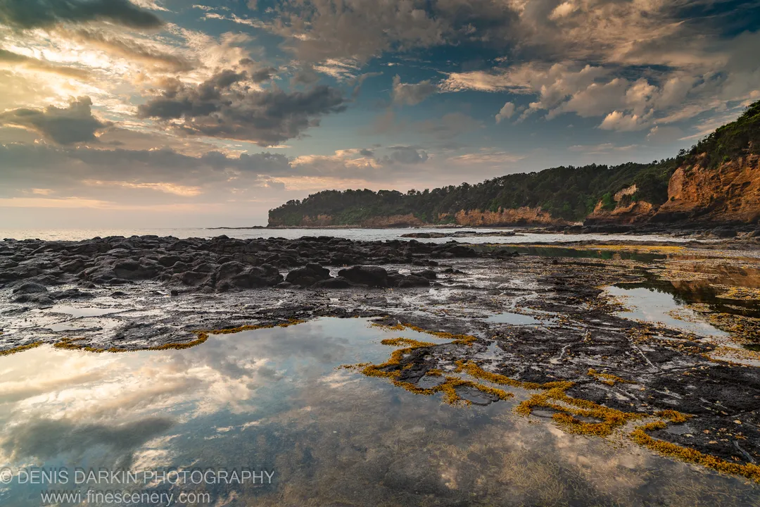 Shallow tide pools on dark rock reflect gold and blue sky at dawn, yellow algae tracing pool edges on the New South Wales coast.
