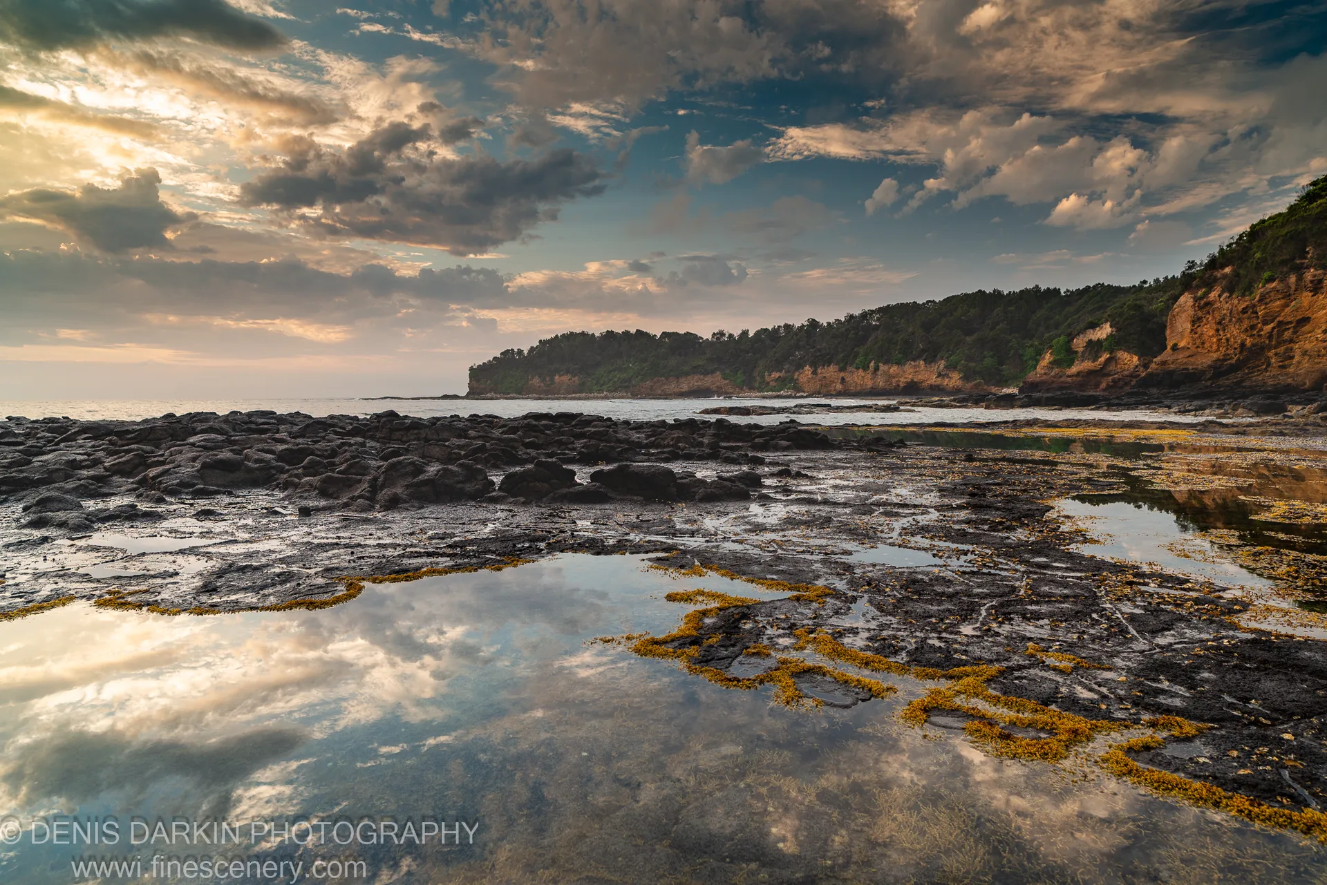 Shallow tide pools on dark rock reflect gold and blue sky at dawn, yellow algae tracing pool edges on the New South Wales coast.