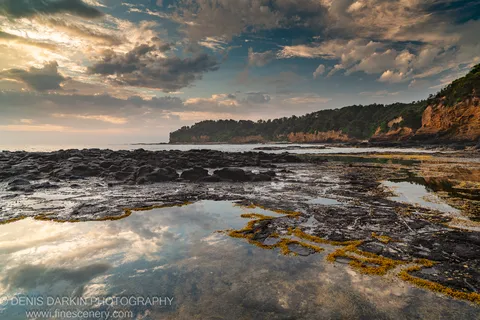Shallow tide pools on dark rock reflect gold and blue sky at dawn, yellow algae tracing pool edges on the New South Wales coast.