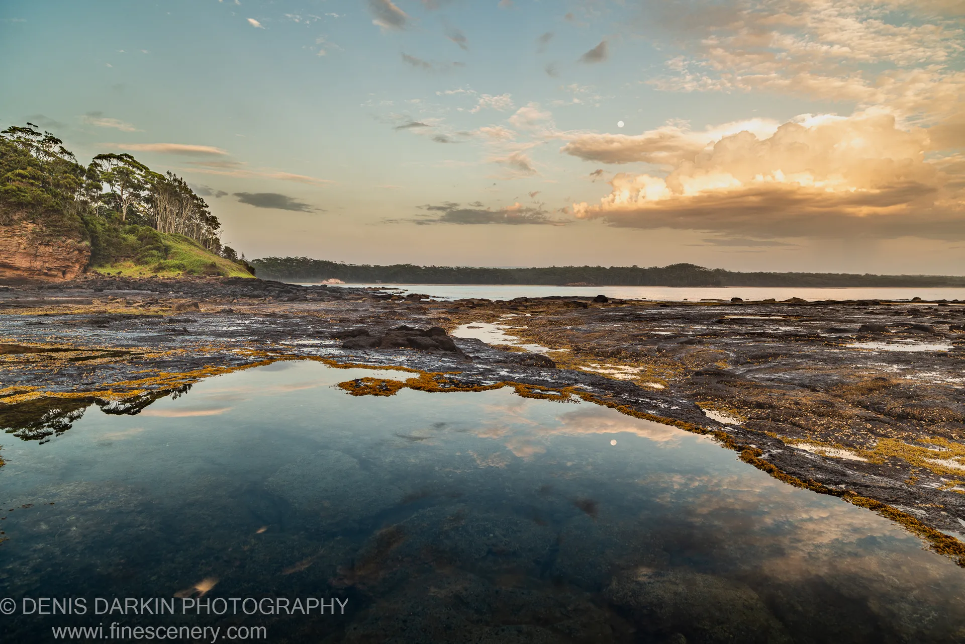 A shallow rockpool reflects the pale sky on dark rock, yellow seaweed covering the stone beside a wooded slope toward the headland, New South Wales.