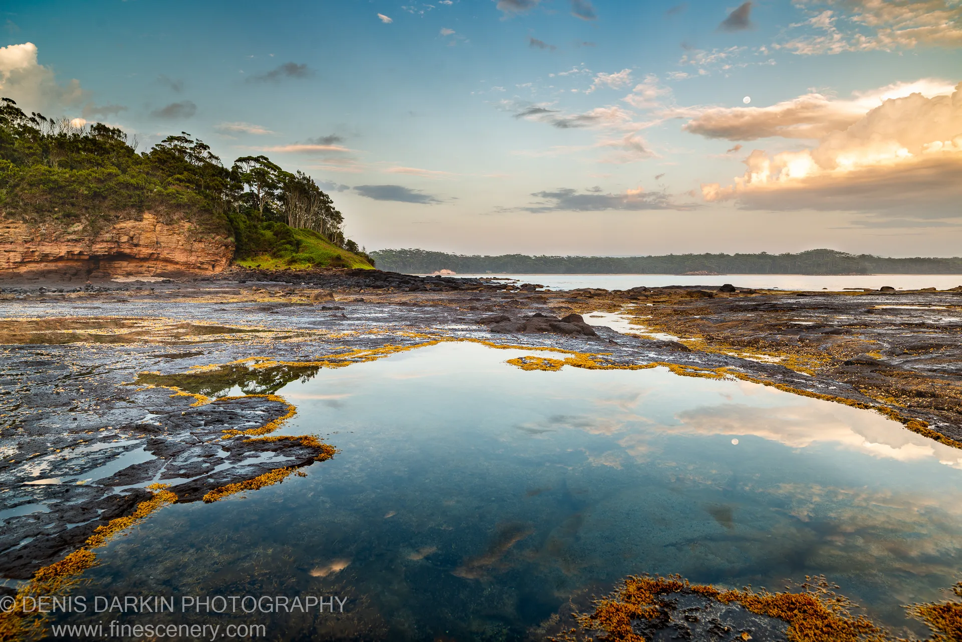 A setting moon hangs near the horizon above seaweed-covered tidal rock platforms and a sandstone headland at Bendalong Point at dawn.