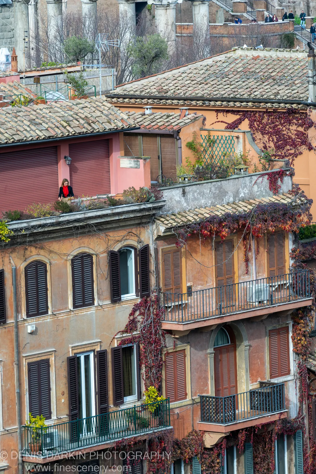 Deep red ivy on ochre facades above terracotta rooftops in Rome, with ancient stone columns visible in the background, December 2024.
