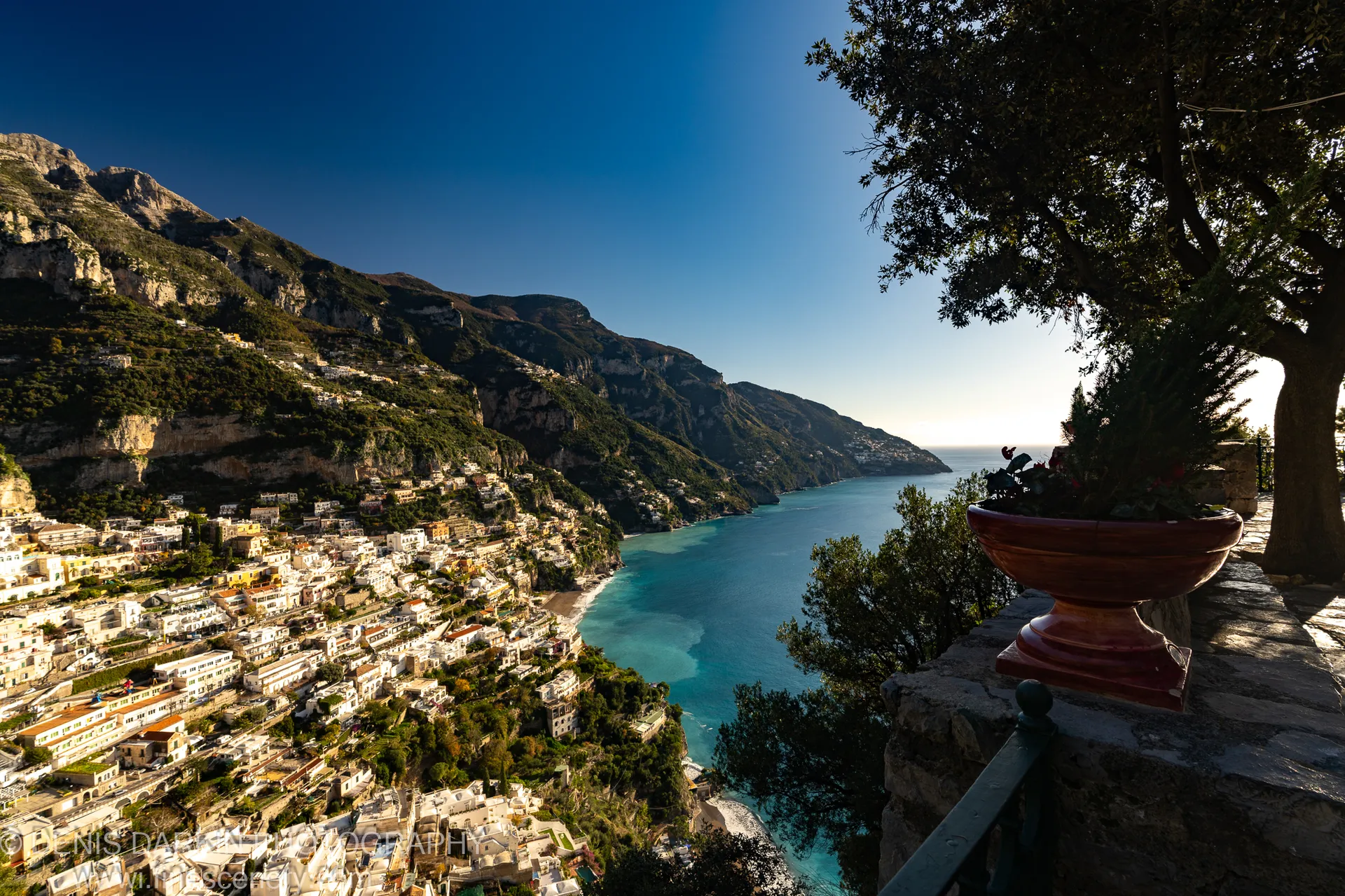 Silhouetted tree and terracotta planter above the sunlit terraced village at Sorrento, sky deepening to navy above the pale horizon, December 2024.