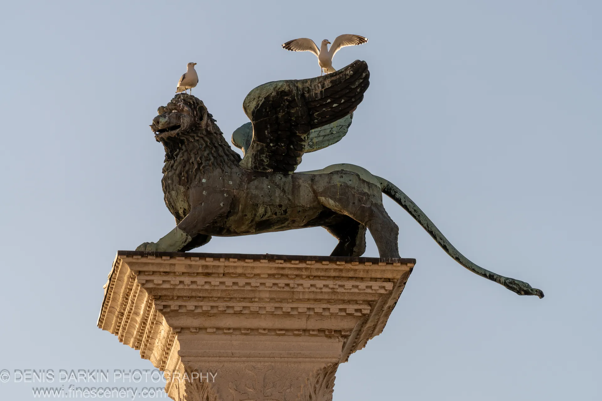 Bronze winged lion on a stone pedestal in Venice, a seagull perched on its head against pale winter sky.