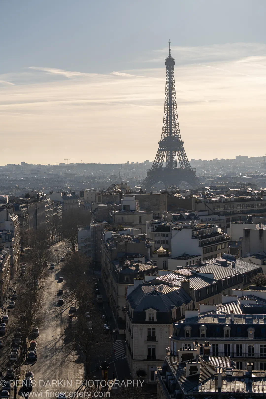 The Eiffel Tower rises as a dark silhouette above hazy Parisian slate rooftops and leafless trees at midday in winter.