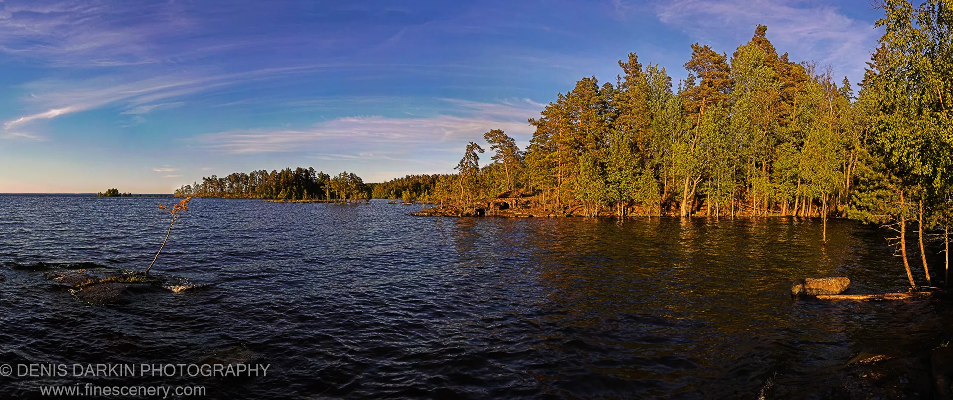 A solitary bare branch rests on a dark rock, with a panoramic view of sun-drenched forest shoreline and deep blue water behind.