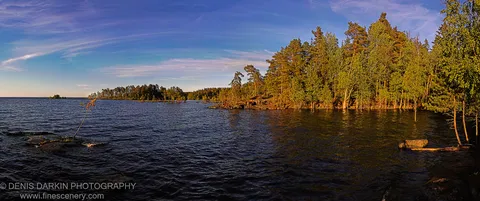 A solitary bare branch rests on a dark rock, with a panoramic view of sun-drenched forest shoreline and deep blue water behind.