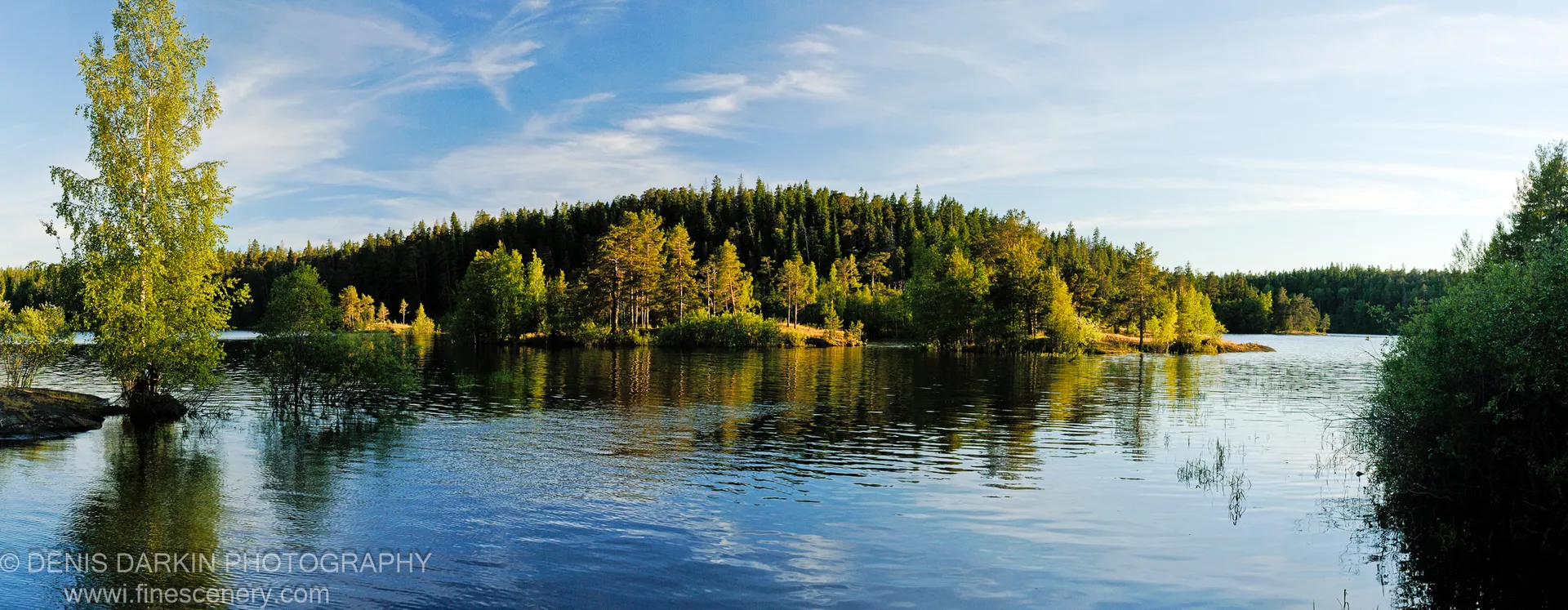 Bright sunlit foliage on the left contrasts with a dark pine forest extending along a calm shoreline under blue sky and scattered clouds.