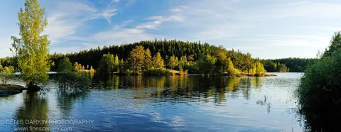 Bright sunlit foliage on the left contrasts with a dark pine forest extending along a calm shoreline under blue sky and scattered clouds.