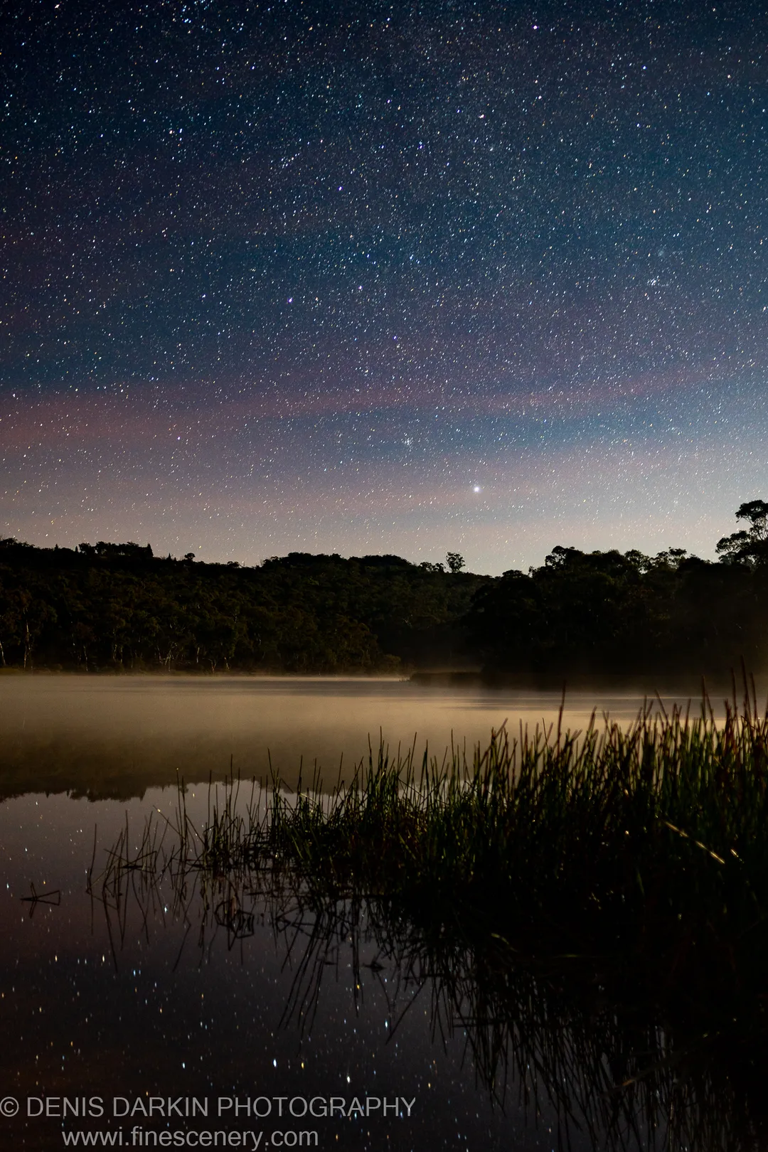 Stars fill the night sky above Dunns Swamp as ground mist hovers over the still water, with silhouetted reeds in the foreground.